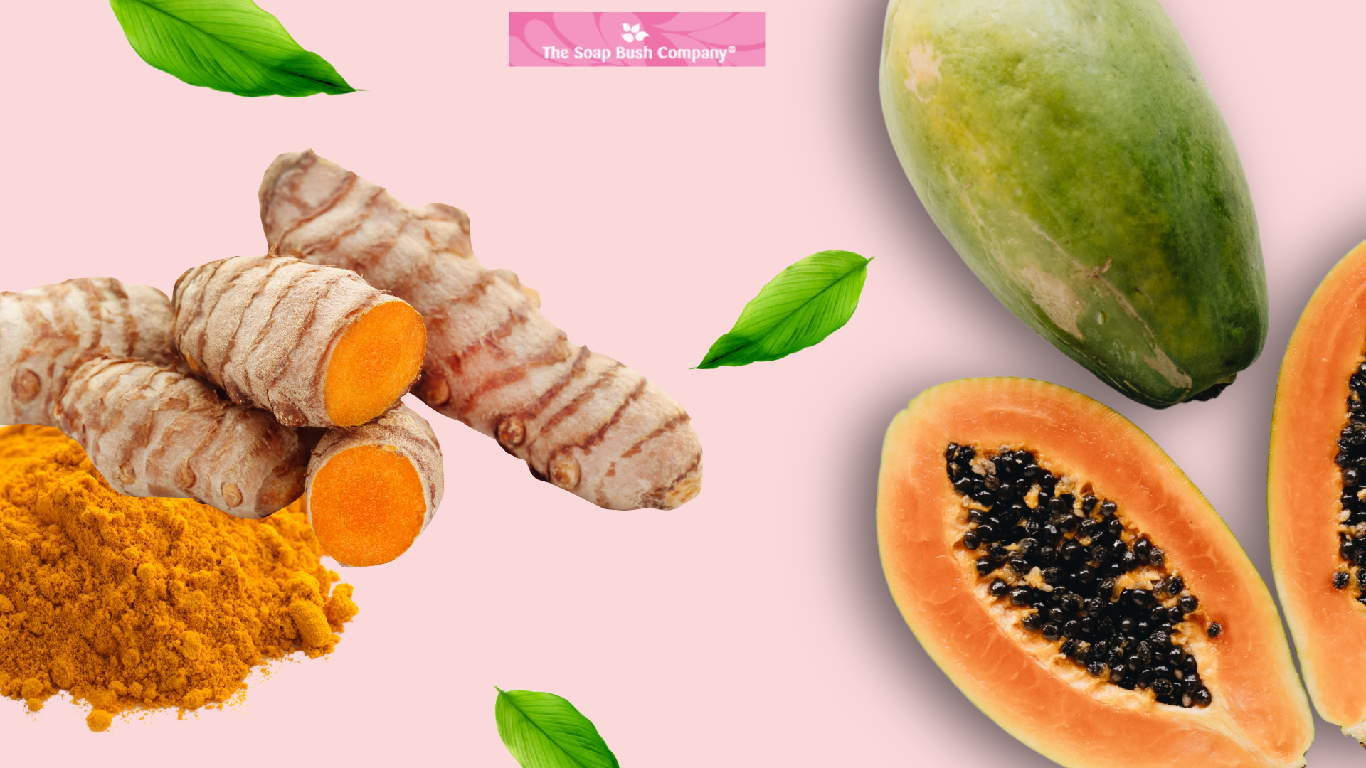 soapbushco, the soap bush company, kojic acid, skin lightening soap bar, kojie san, papaya kojic soap,skin lightening, skin brightening. kojic turmeric, kojisan